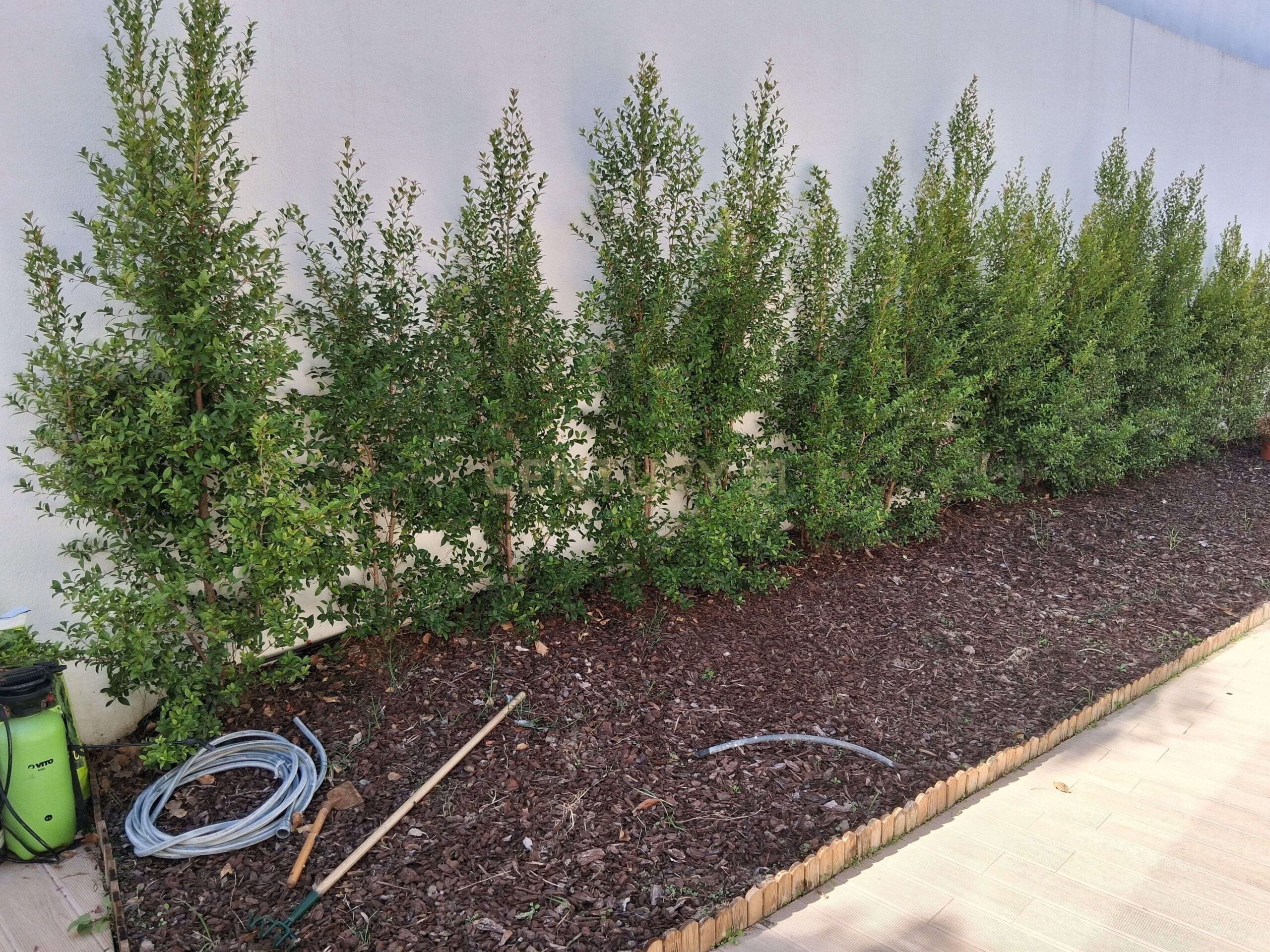 20251011122758Resultado