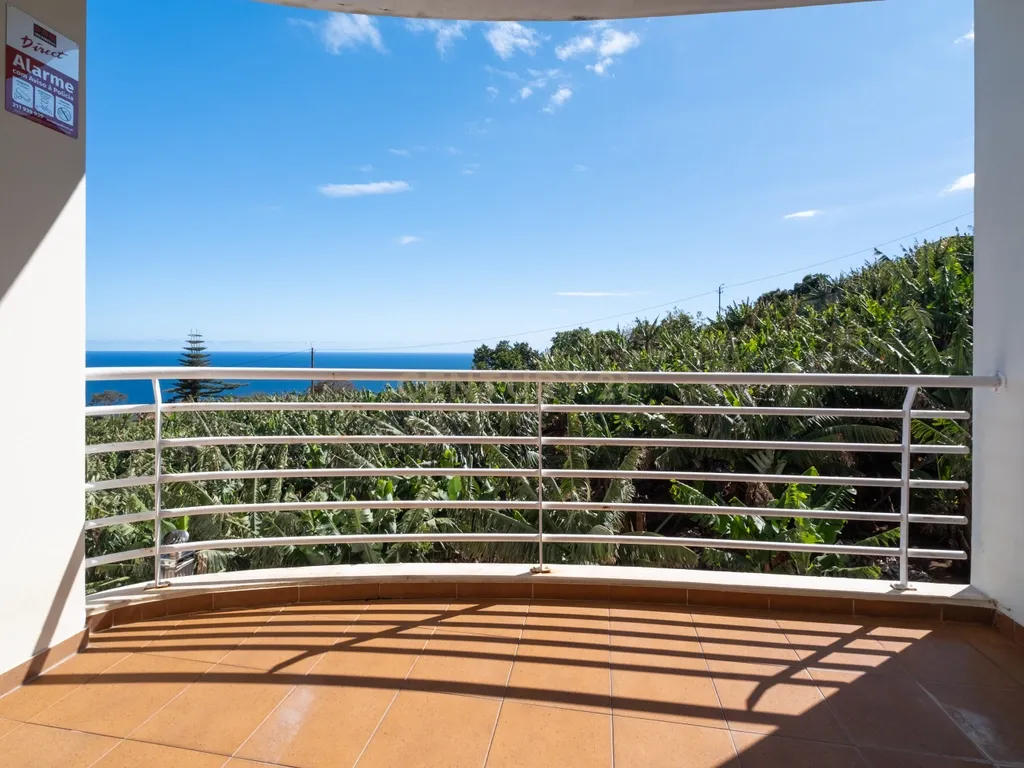T2 Apartment in Câmara de Lobos, Câmara de Lobos - image 16