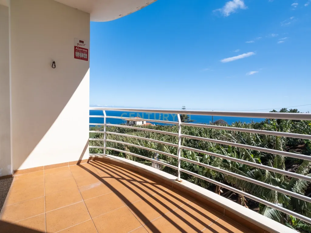 T2 Apartment in Câmara de Lobos, Câmara de Lobos - image 17