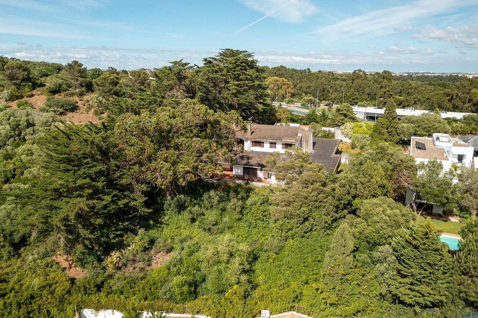 Villa for Full Rehabilitation on a 2,350 sqm Urban Plot in Alcabideche - image 06