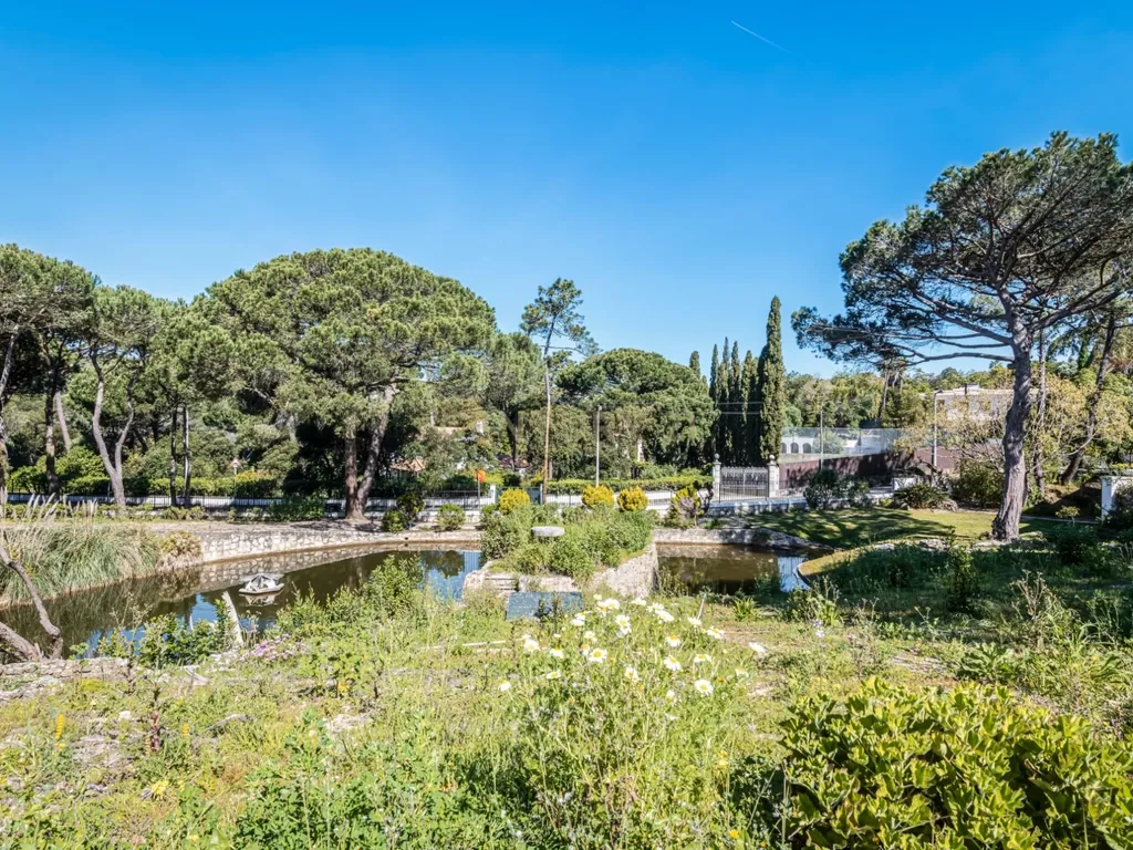 T12 Villa on a 7,100 sqm Plot in Estoril - image 03