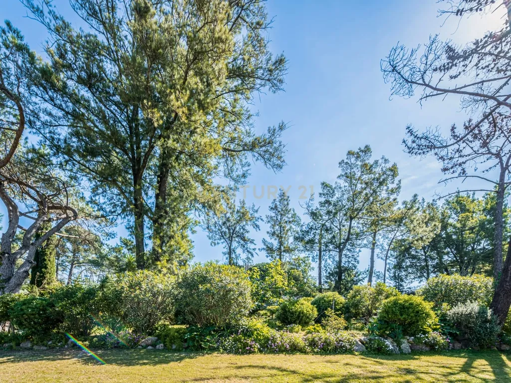 T12 Villa on a 7,100 sqm Plot in Estoril - image 06