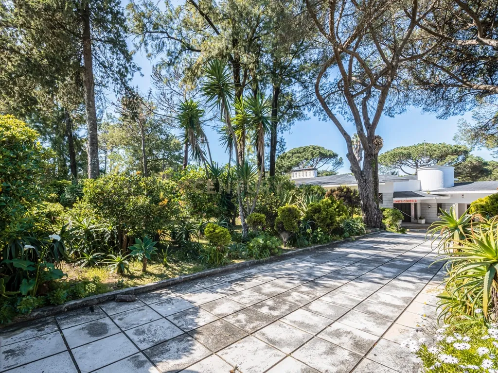 T12 Villa on a 7,100 sqm Plot in Estoril - image 12