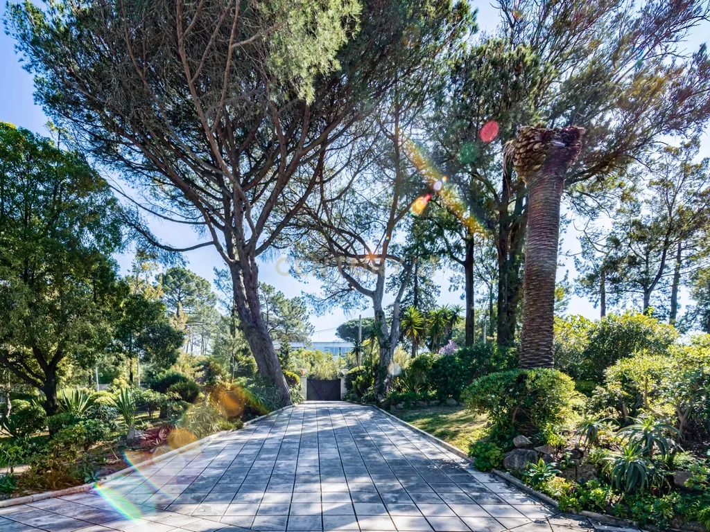 T12 Villa on a 7,100 sqm Plot in Estoril - image 14