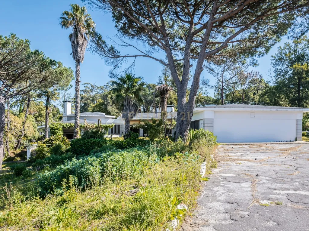 T12 Villa on a 7,100 sqm Plot in Estoril - image 17