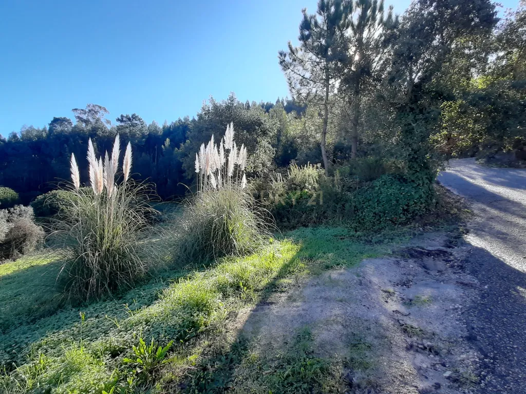 Land for Development in Enxara do Bispo, Gradil e Vila Franca do Rosário, Mafra - image 10