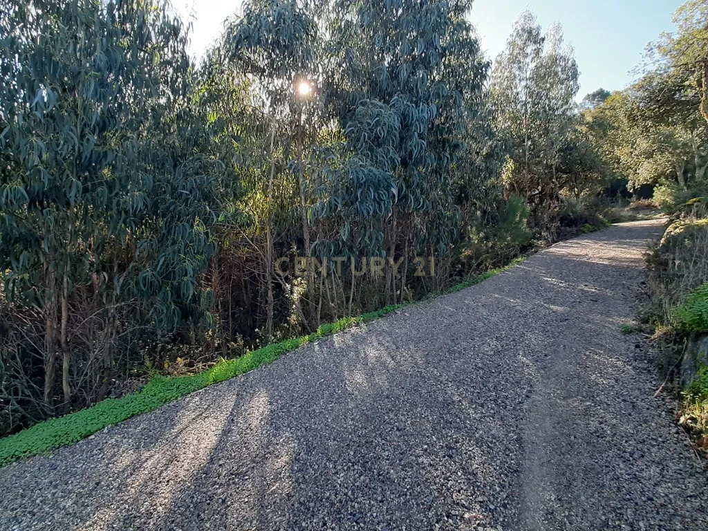 Land for Development in Enxara do Bispo, Gradil e Vila Franca do Rosário, Mafra - image 12