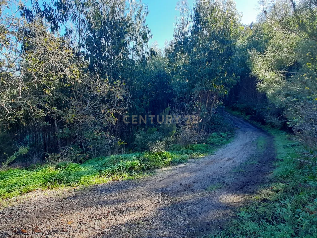 Land for Development in Enxara do Bispo, Gradil e Vila Franca do Rosário, Mafra - image 14