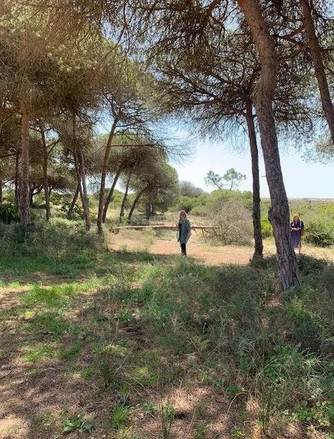 Land for Development in Almancil, Loulé - image 04
