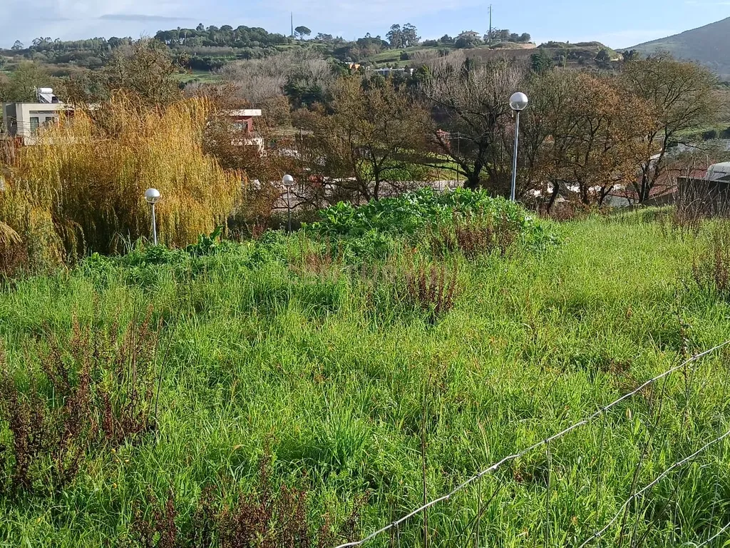 Land for Development in Malveira e São Miguel de Alcainça, Mafra - image 02