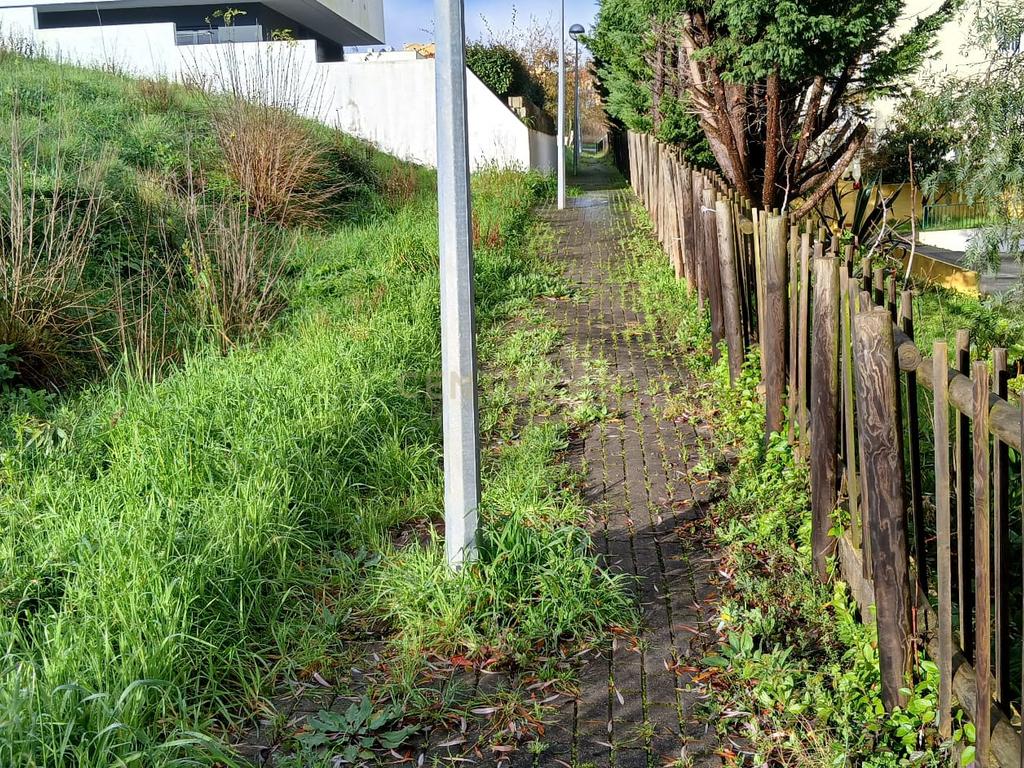 Land for Development in Malveira e São Miguel de Alcainça, Mafra - image 11