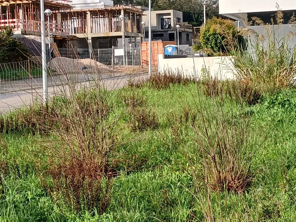 Land for Development in Malveira e São Miguel de Alcainça, Mafra - image 15