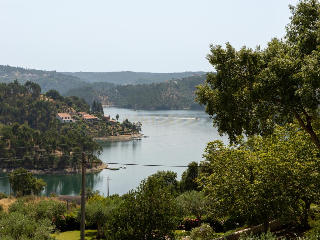 Land for Development in Serra e Junceira, Tomar - image 20