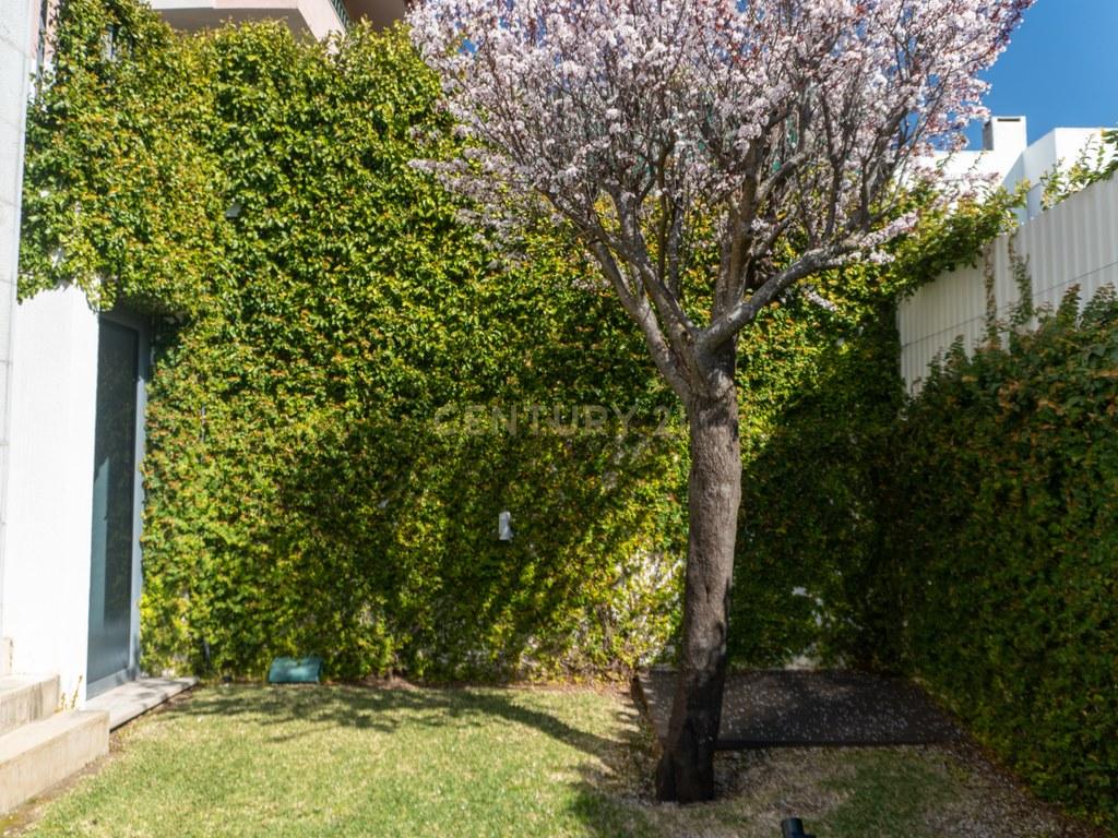 House T4+ in União das freguesias de Oeiras e São Julião da Barra, Paço de Arcos e Caxias — image 30
